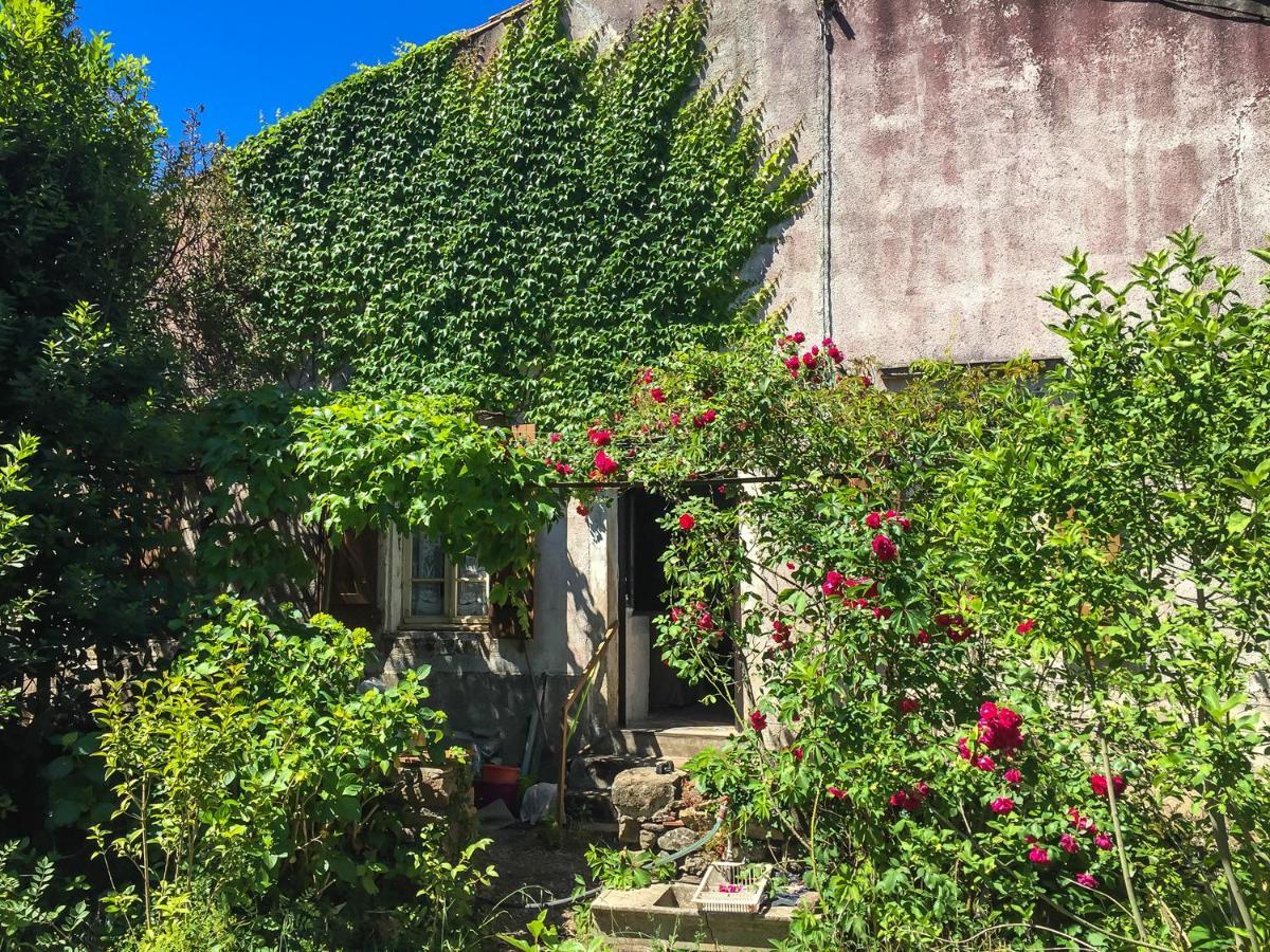 Le Mas Du Figuier, Maison De Vacances Le Bousquet-d'Orb Екстер'єр фото